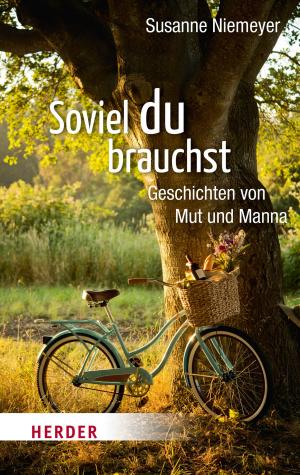 Cover of the book Soviel du brauchst by Christoph Markschies