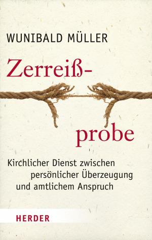 Cover of the book Zerreißprobe by Dietmar Mieth, Irene Mieth