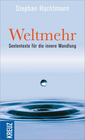 Cover of the book Weltmehr by Susanne Niemeyer