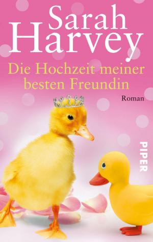 Book cover of Die Hochzeit meiner besten Freundin