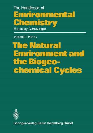 Cover of the book The Natural Environment and the Biogeochemical Cycles by Min Zhang, Jun Zhang, Hong Zhou