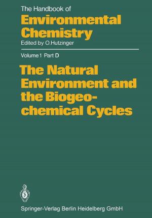 Cover of the book The Natural Environment and the Biogeochemical Cycles by Philipp Servatius