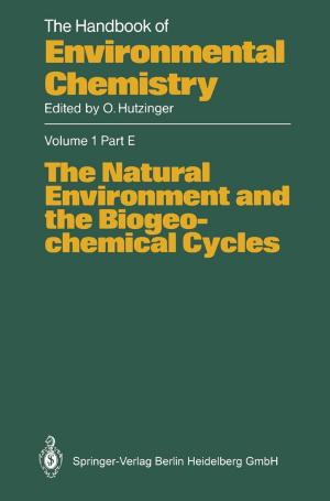 Cover of the book The Natural Environment and the Biogeochemical Cycles by Georg Schwedt