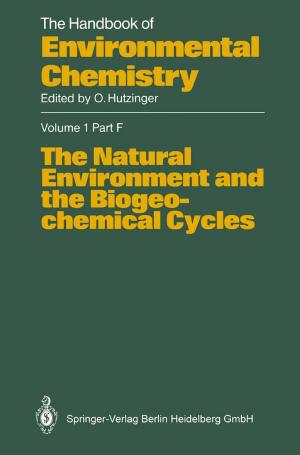 Cover of the book The Natural Environment and the Biogeochemical Cycles by Alberto Gil Solla, Rafael G. Sotelo Bovino