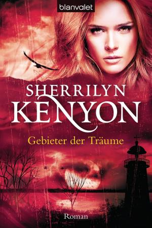 Cover of the book Gebieter der Träume by Aaron Allston