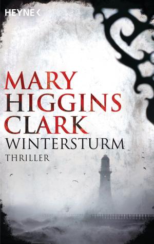 Cover of the book Wintersturm by Paul Cleave