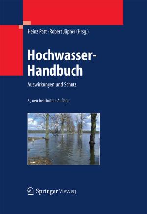 Cover of the book Hochwasser-Handbuch by Bruno Berstel-Da Silva