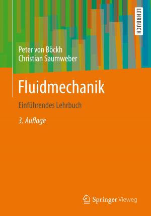 Cover of the book Fluidmechanik by Anna Fricker