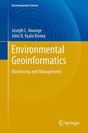 Book cover of Environmental Geoinformatics