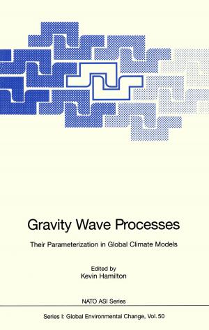 Cover of the book Gravity Wave Processes by A. Böcking, R. Friedrichs, F. Hofstädter, J.-D. Hoppe, Peter Rathert, Stephan Roth, E. Huland, H. Huland, Mark S. Soloway, C. Hunold, R. Nafe, S. Peter, P. Röttger, H. Rübben, B.J. Schmitz-Dräger