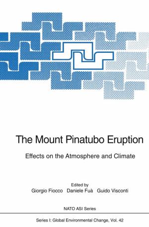 Cover of the book The Mount Pinatubo Eruption by Dharam P. Agarwal, H. Werner Goedde