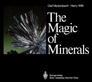 Cover of the book The Magic of Minerals by Uwe Schirmer, Sabine Woydt