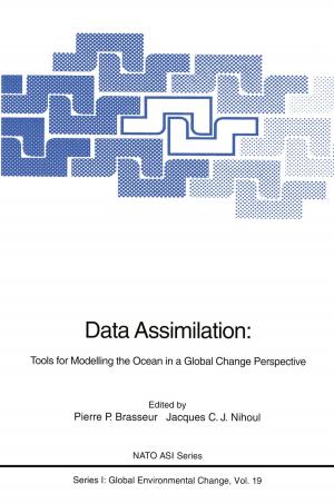 Cover of the book Data Assimilation by Michael St.Pierre, Gesine Hofinger, Cornelius Buerschaper, Robert Simon