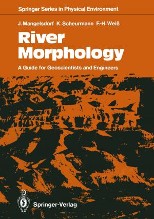 Cover of the book River Morphology by Marcel A. Verhoff, Harald F. Schütz, Reinhard B. Dettmeyer