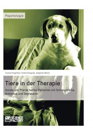 Cover of the book Tiere in der Therapie by Christian Schewe, Maria Reinhold, Dominik Poos, Solveig Höchst, Cord Gudegast