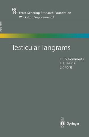 Cover of the book Testicular Tangrams by Björnstjern Baade