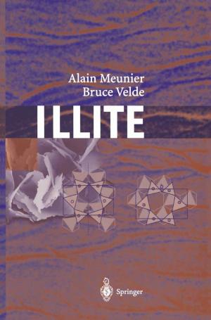 Cover of the book Illite by Margot Böse, Jürgen Ehlers, Frank Lehmkuhl
