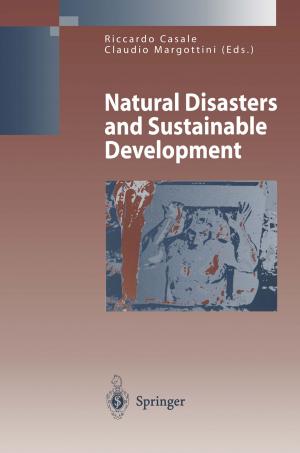 Cover of the book Natural Disasters and Sustainable Development by John M. Hutson, Masaru Terada, Baiyun Zhou, Martyn P.L. Williams