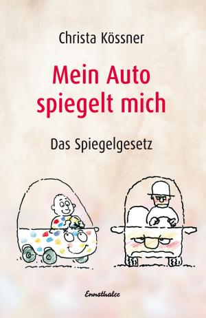 Cover of the book Mein Auto spiegelt mich by Elisabeth Constantine