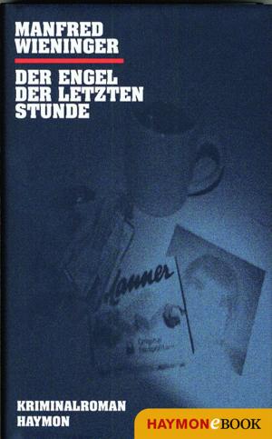 Cover of the book Der Engel der letzten Stunde by Peter Wehle