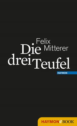 Cover of the book Die drei Teufel by Jürg Amann