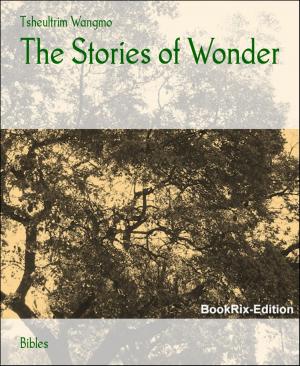 Cover of the book The Stories of Wonder by Edgar Wallace