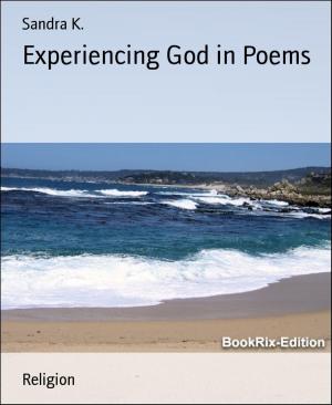 Cover of the book Experiencing God in Poems by Larry Lash