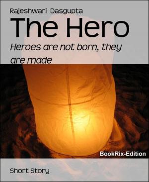 Cover of the book The Hero by Stryder Dancewolffe