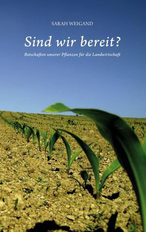 Cover of the book Sind wir bereit? by Joleen Maurer