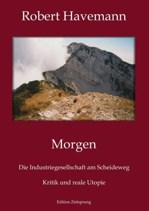 Cover of the book Morgen by Michel Zévaco
