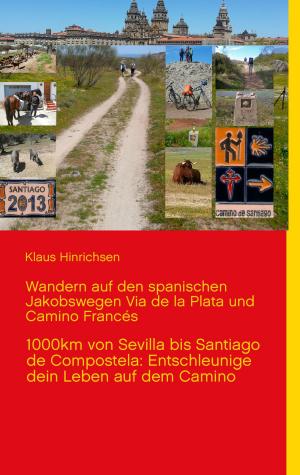 Cover of the book Wandern auf den spanischen Jakobswegen Via de la Plata und Camino Frances by Steffen Kubitscheck