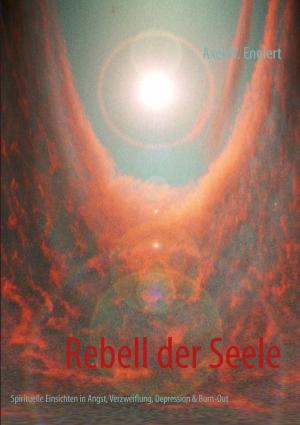 Book cover of Rebell der Seele