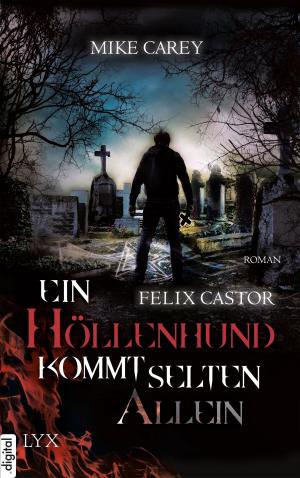 Cover of the book Felix Castor - Ein Höllenhund kommt selten allein by Amo Jones