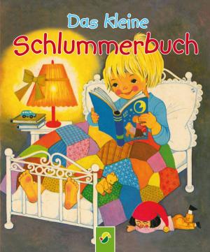 Cover of Das kleine Schlummerbuch