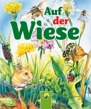 Cover of the book Auf der Wiese by Anke Breitenborn