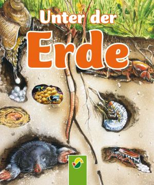 Cover of the book Unter der Erde by Brigitte Hoffmann