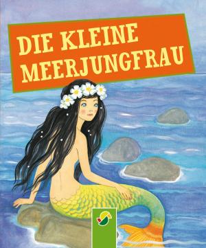 Book cover of Die kleine Meerjungfrau