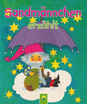 Cover of the book Sandmännchen erzählt by Petra Kulbatzki