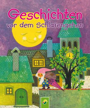 Book cover of Geschichten vor dem Schlafengehen