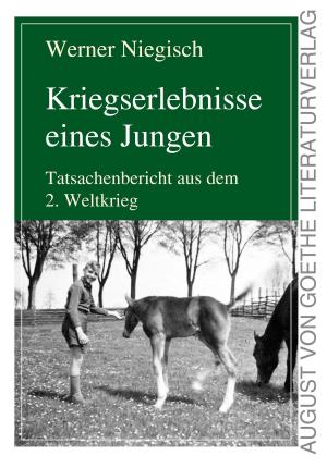 Cover of the book Kriegserlebnisse eines Jungen by Washington Irving, Léonora C Herbert