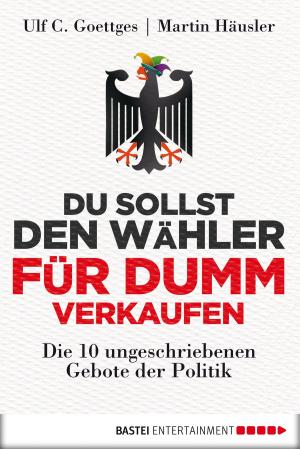 Book cover of Du sollst den Wähler für dumm verkaufen
