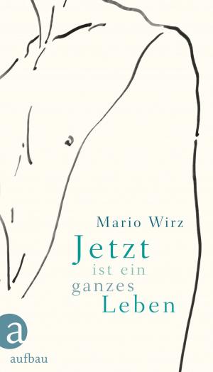 Cover of the book Jetzt ist ein ganzes Leben by Julie Peters