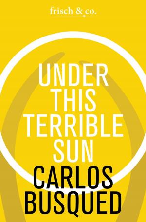 Cover of the book Under This Terrible Sun by Wolfgang Borchert
