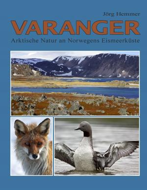 Cover of the book Varanger by Mike Butzbach