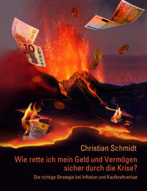 Cover of the book Wie rette ich mein Geld und Vermögen sicher durch die Krise? by Julia Schneider