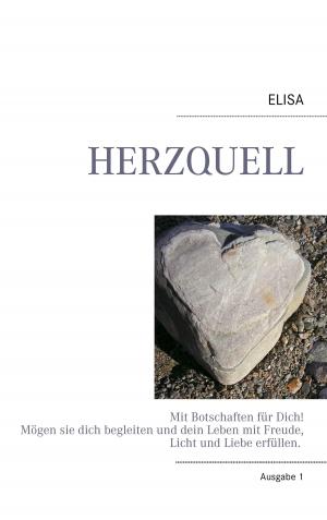 Cover of the book HERZQUELL by Saleem Matthias Riek