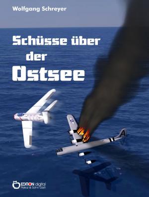 Cover of Schüsse über der Ostsee