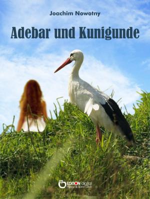 Cover of the book Adebar und Kunigunde by Jan Flieger