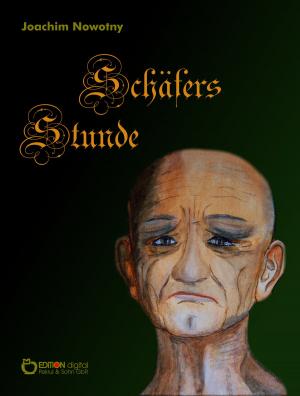 Book cover of Schäfers Stunde