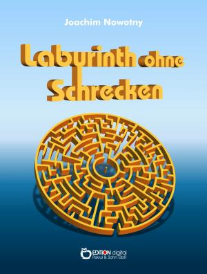 Cover of the book Labyrinth ohne Schrecken by Heinz-Jürgen Zierke